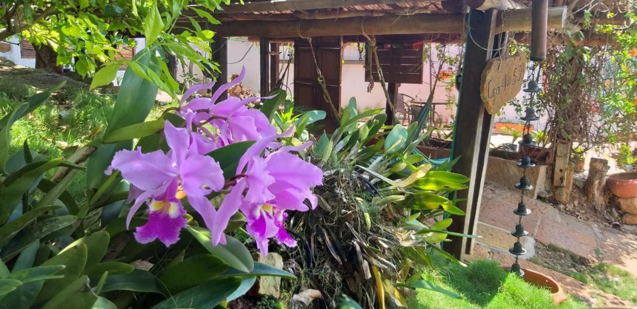 Tinto Hostel Barichara Ngoại thất bức ảnh